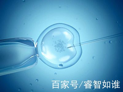 靠谱试管代孕机构